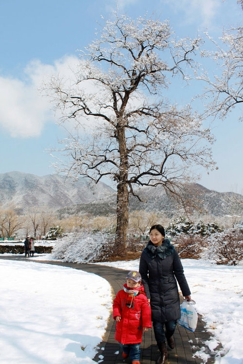 2012年3月，植物园的春雪