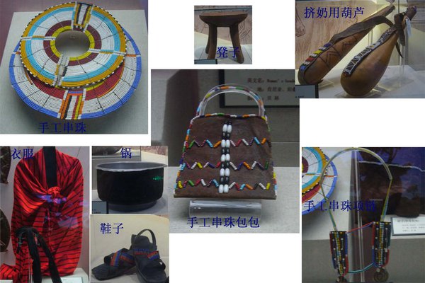 自然博物馆归来(1)
