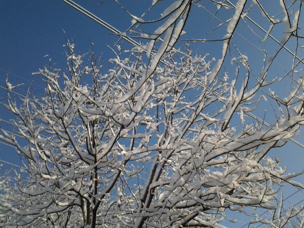 雪景