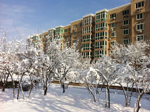 2012的那一场春雪