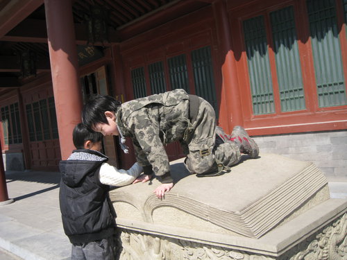 卢沟桥的狮子数也数不清(之一)