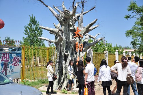 从中关村到太阳村