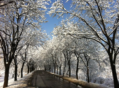 2012的那一场春雪