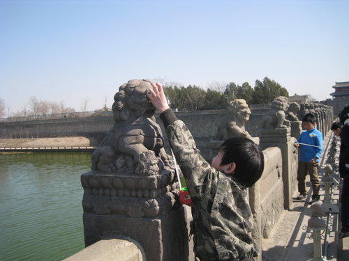 卢沟桥的狮子数也数不清(之一)