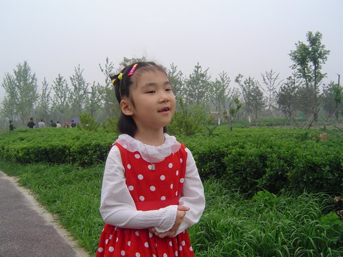 久违了麋鹿苑!我们回来看你——