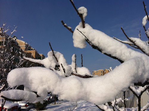 2012的那一场春雪