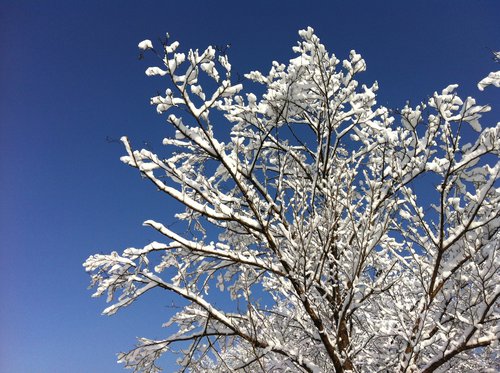 2012的那一场春雪