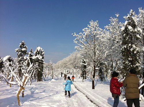 2012的那一场春雪