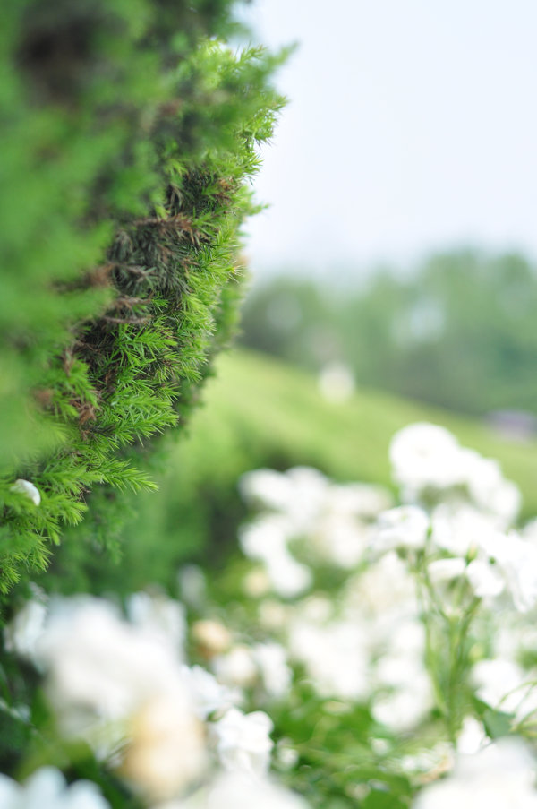 5月27植物园