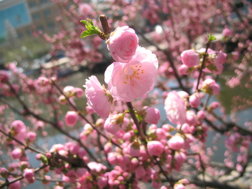 小雕塑公园