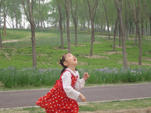 久违了麋鹿苑!我们回来看你——