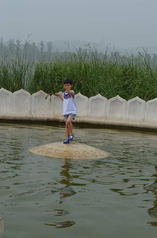 永定河畔戏水