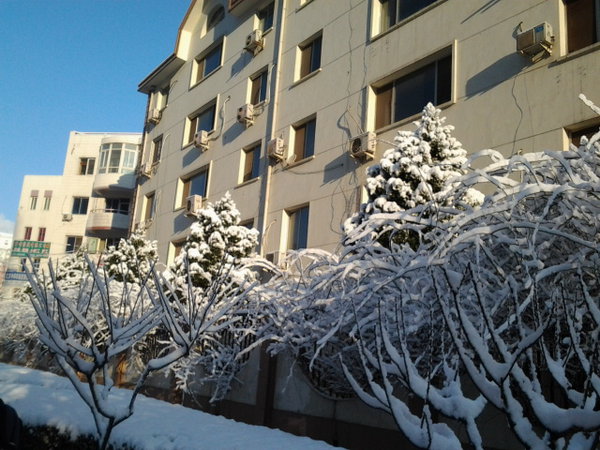 雪景