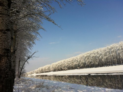 2012的那一场春雪