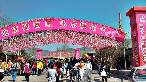 植物园桃花节