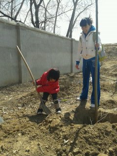 沁心农业园植树、种菜活动归来