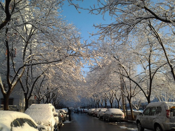 雪景