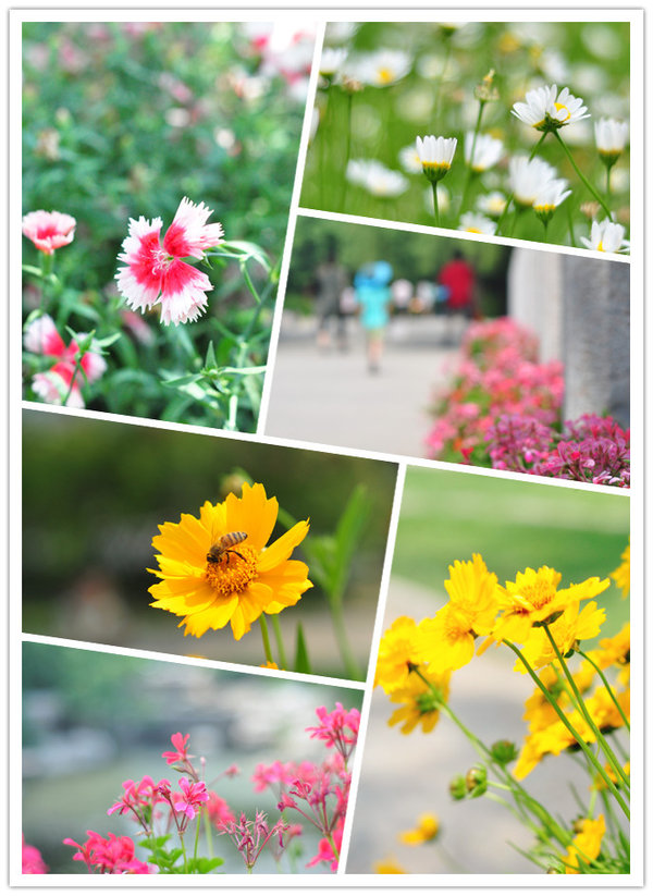 5月27植物园