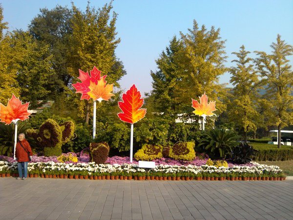 植物园的秋天