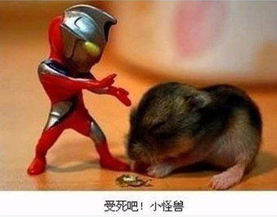 自古英雄出少年