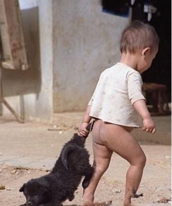 执子之手，送子离开，子若不走， 将子拖走。。。