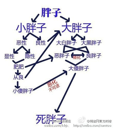 胖纸的最终归宿！！！！！太伤人了！！！