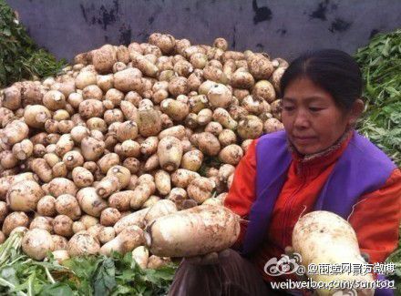 为菜农发转条爱心广告！
