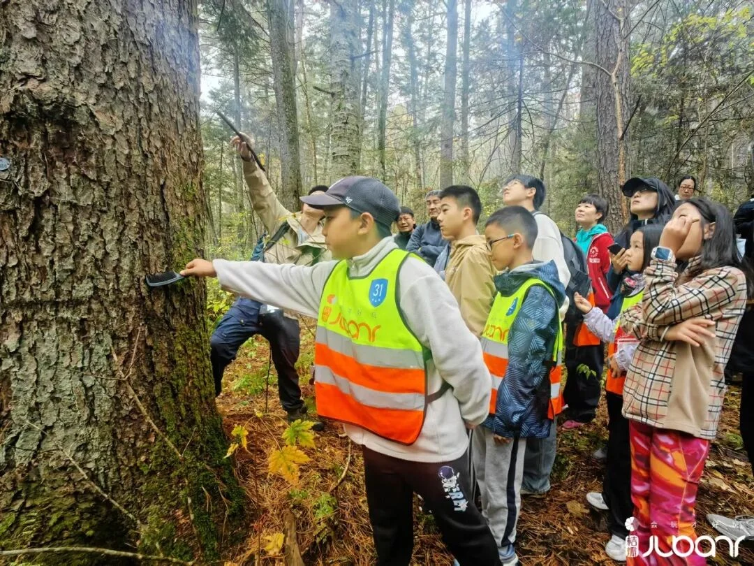 孩子和老师走进伊春森林观察自然